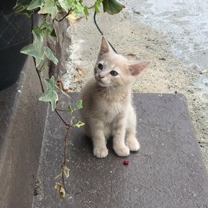 Meet your Posher, Jazmine